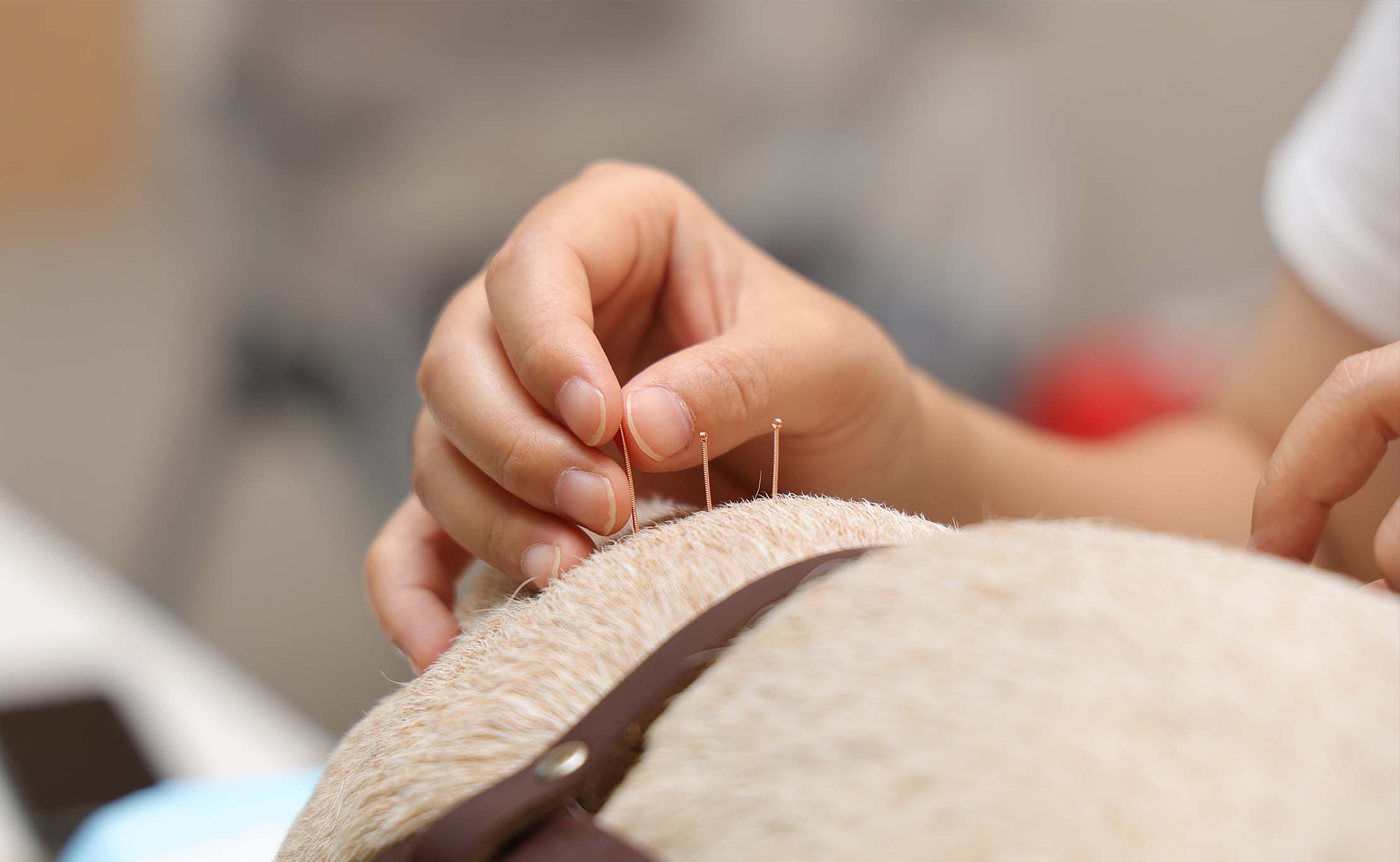 2025�������ҽ���ʦ��֤(CVA)��