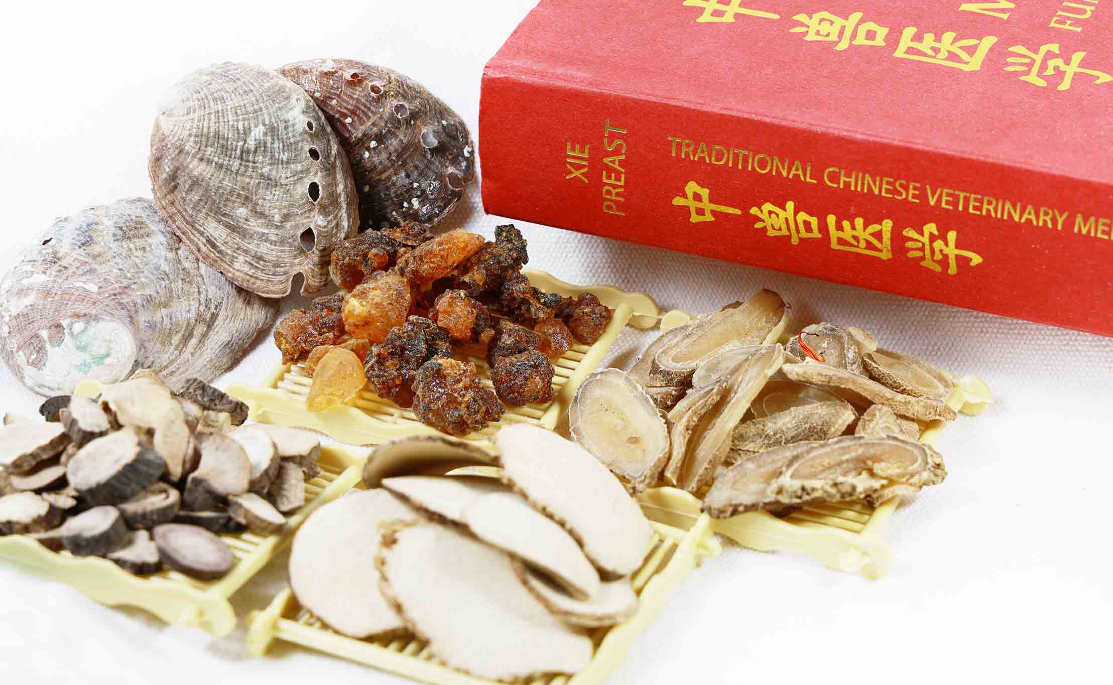 2024��ҽ��ҩ��֤��CVCH���γ�