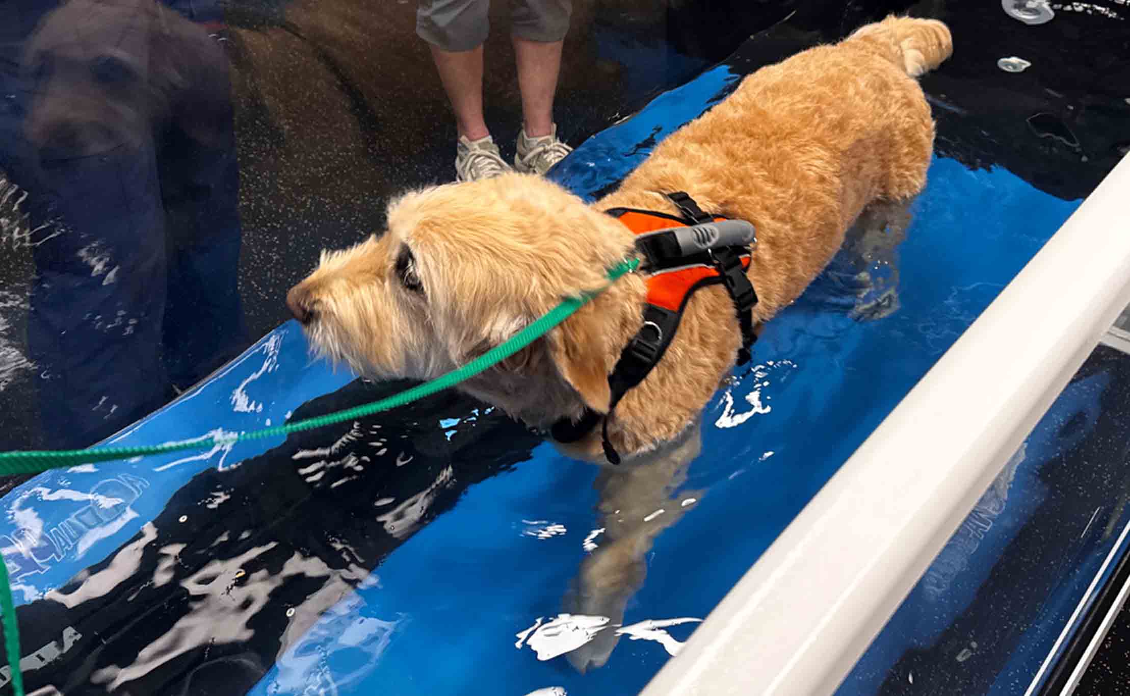 2024�� Ȯ��ҽ����ʦ��֤��CCRV����