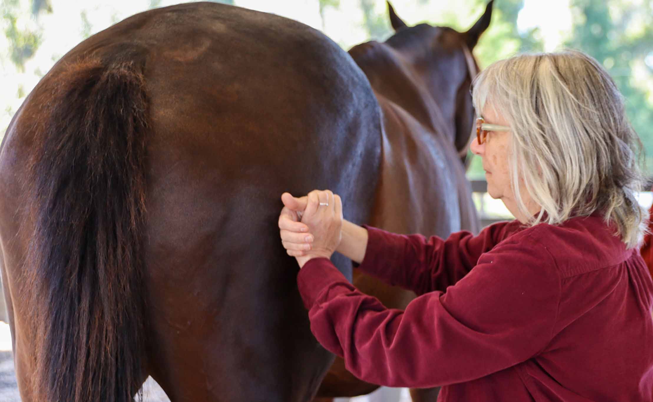 2024����ҽ������֤��CVTP���γ�