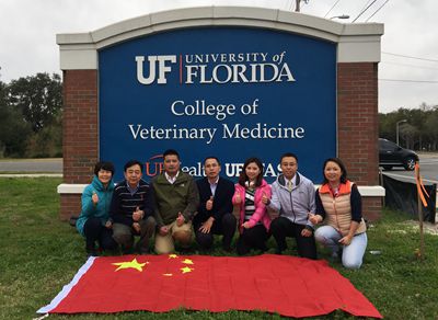 2018���й���ҽ��Ӣ��������