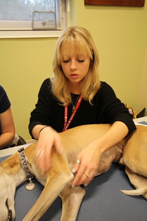 2019�й���ҽCVA��ѧ��