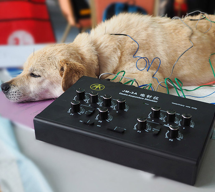 2026��CVA��������ʽ������ʣ����