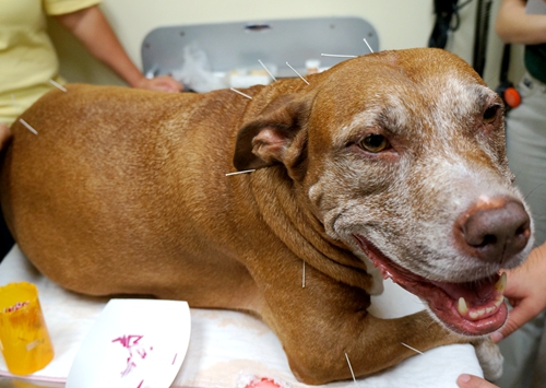 ���Ｒ������